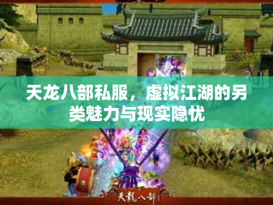 天龙八部私服，虚拟江湖的另类魅力与现实隐忧
