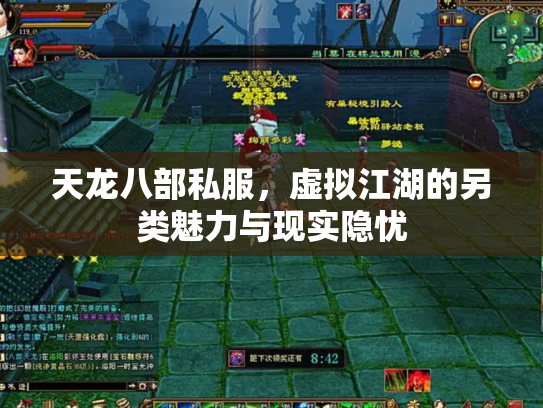 天龙八部私服，虚拟江湖的另类魅力与现实隐忧