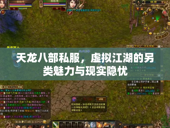 天龙八部私服，虚拟江湖的另类魅力与现实隐忧