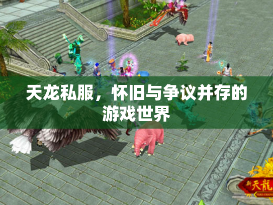天龙私服，怀旧与争议并存的游戏世界