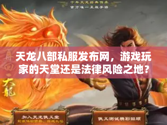 天龙八部私服发布网，游戏玩家的天堂还是法律风险之地？