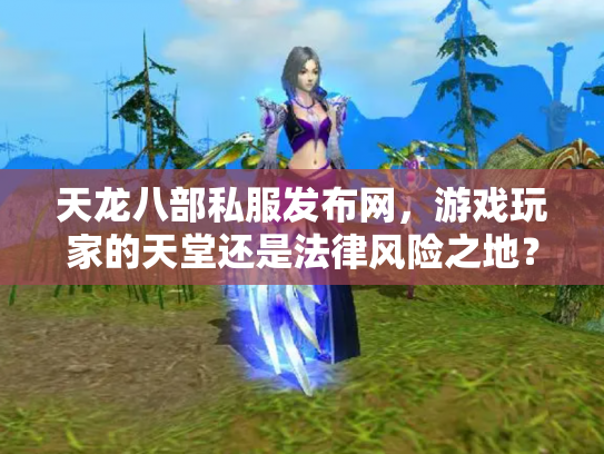 天龙八部私服发布网，游戏玩家的天堂还是法律风险之地？