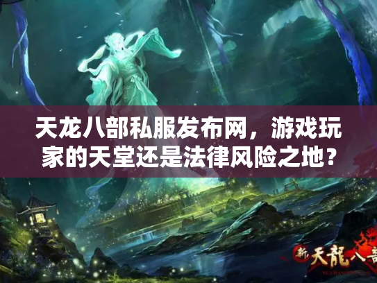 天龙八部私服发布网，游戏玩家的天堂还是法律风险之地？