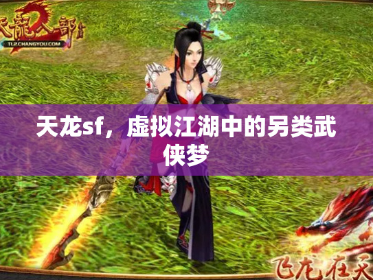 天龙sf，虚拟江湖中的另类武侠梦