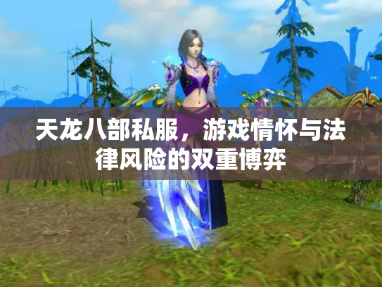 天龙八部私服，游戏情怀与法律风险的双重博弈