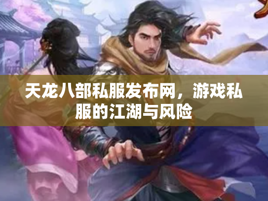 天龙八部私服发布网，游戏私服的江湖与风险
