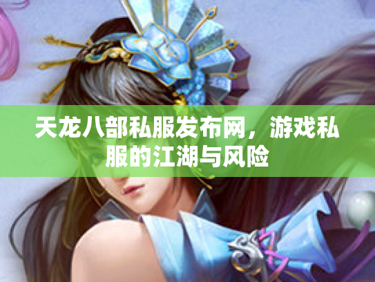 天龙八部私服发布网，游戏私服的江湖与风险