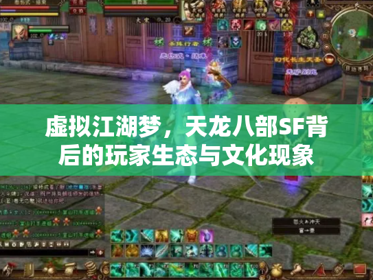 虚拟江湖梦，天龙八部SF背后的玩家生态与文化现象