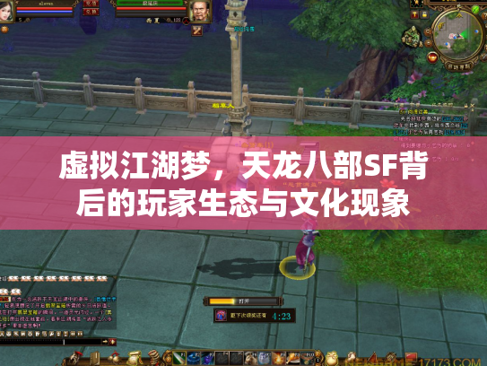 虚拟江湖梦，天龙八部SF背后的玩家生态与文化现象