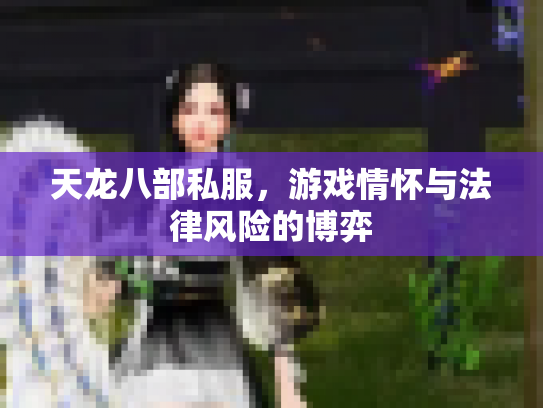 天龙八部私服，游戏情怀与法律风险的博弈
