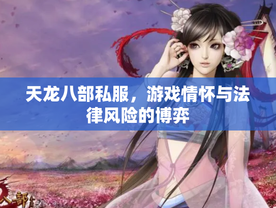 天龙八部私服，游戏情怀与法律风险的博弈