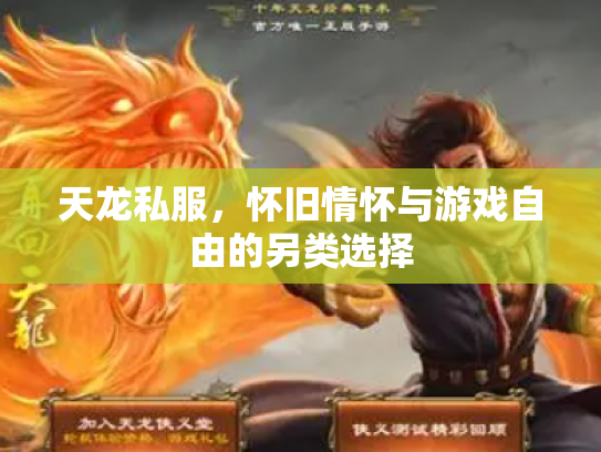 天龙私服，怀旧情怀与游戏自由的另类选择