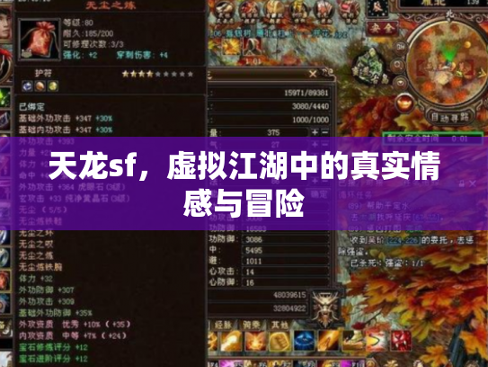 天龙sf，虚拟江湖中的真实情感与冒险
