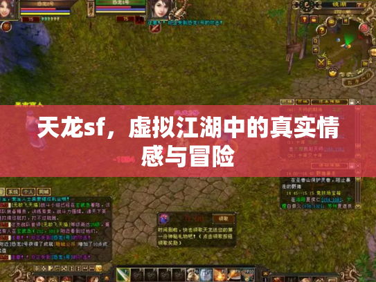 天龙sf，虚拟江湖中的真实情感与冒险