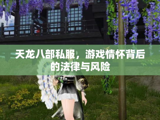 天龙八部私服，游戏情怀背后的法律与风险