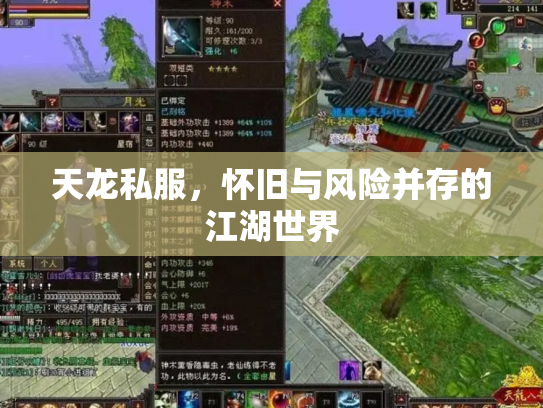 天龙私服，怀旧与风险并存的江湖世界