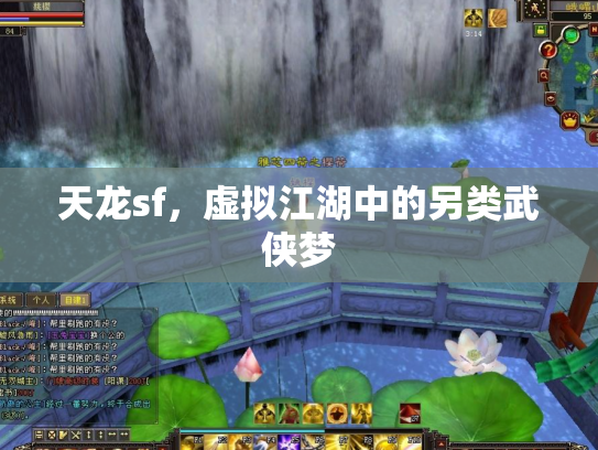 天龙sf，虚拟江湖中的另类武侠梦