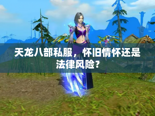 天龙八部私服，怀旧情怀还是法律风险？