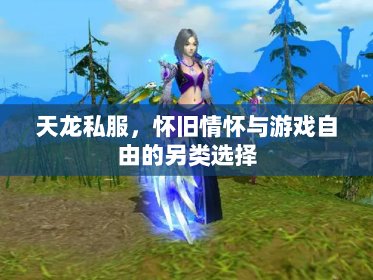 天龙私服，怀旧情怀与游戏自由的另类选择