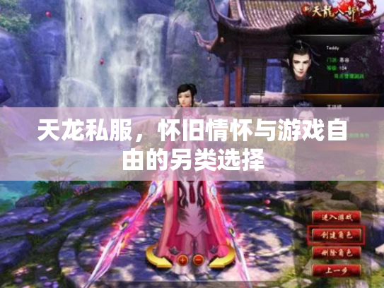 天龙私服，怀旧情怀与游戏自由的另类选择
