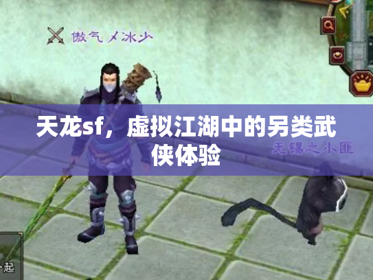 天龙sf，虚拟江湖中的另类武侠体验