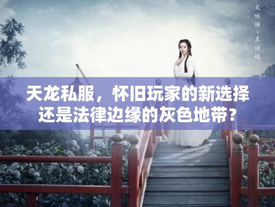 天龙私服，怀旧玩家的新选择还是法律边缘的灰色地带？