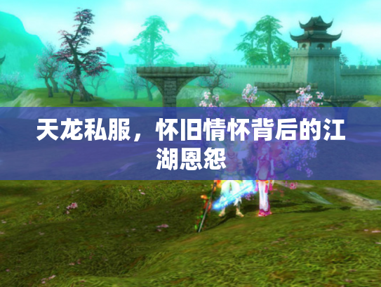天龙私服，怀旧情怀背后的江湖恩怨