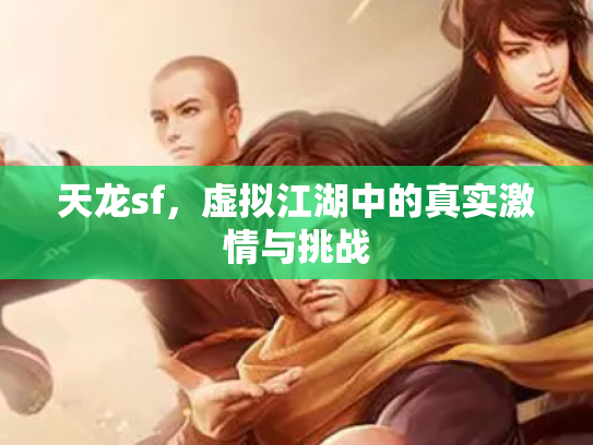 天龙sf，虚拟江湖中的真实激情与挑战