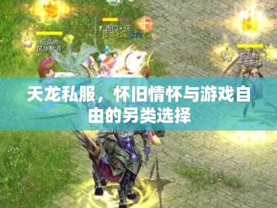 天龙私服，怀旧情怀与游戏自由的另类选择