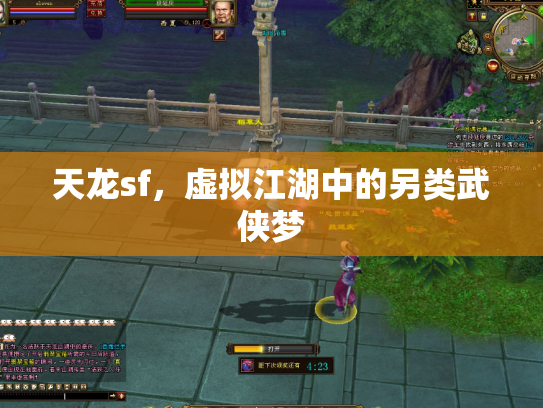 天龙sf，虚拟江湖中的另类武侠梦