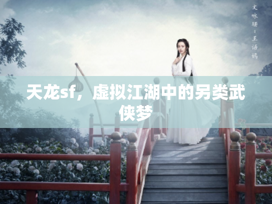 天龙sf，虚拟江湖中的另类武侠梦