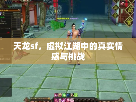 天龙sf，虚拟江湖中的真实情感与挑战