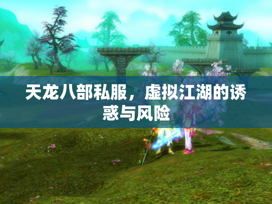天龙八部私服，虚拟江湖的诱惑与风险