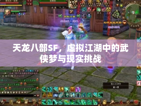 天龙八部SF，虚拟江湖中的武侠梦与现实挑战