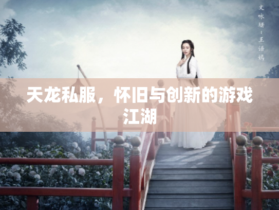 天龙私服，怀旧与创新的游戏江湖