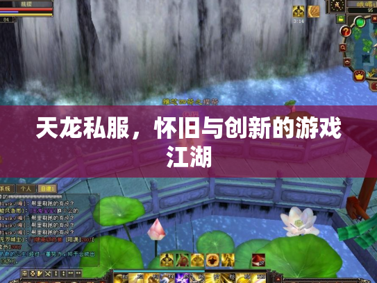 天龙私服，怀旧与创新的游戏江湖