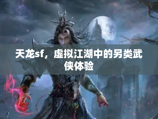 天龙sf，虚拟江湖中的另类武侠体验