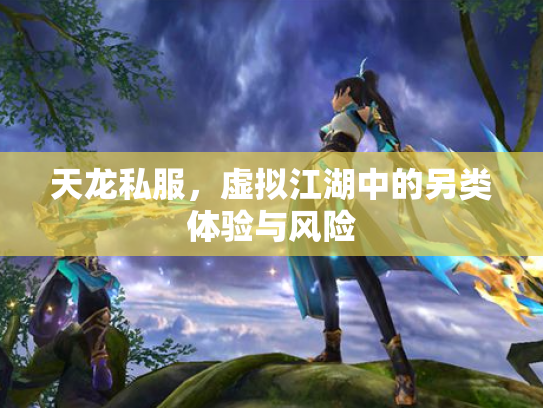 天龙私服，虚拟江湖中的另类体验与风险