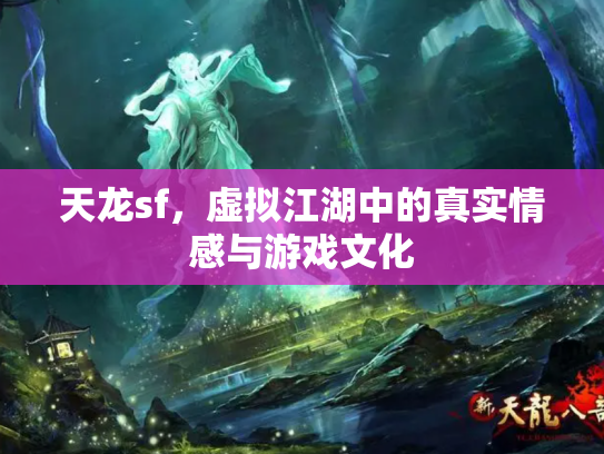 天龙sf，虚拟江湖中的真实情感与游戏文化