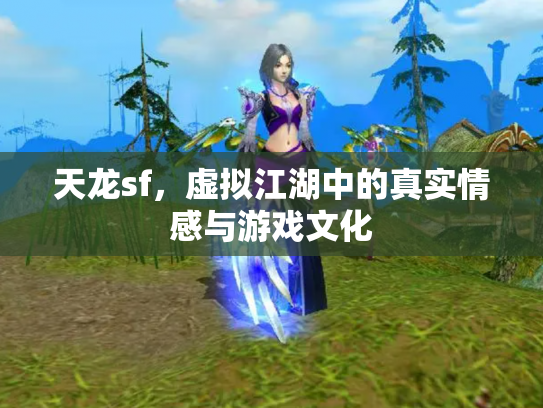 天龙sf，虚拟江湖中的真实情感与游戏文化