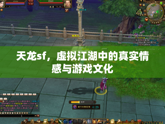 天龙sf，虚拟江湖中的真实情感与游戏文化