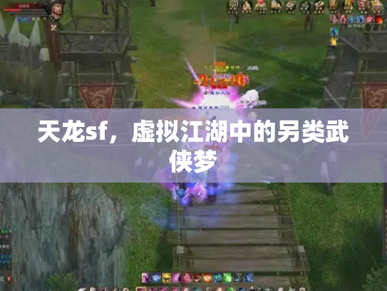 天龙sf，虚拟江湖中的另类武侠梦