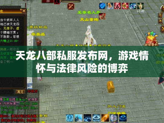 天龙八部私服发布网，游戏情怀与法律风险的博弈