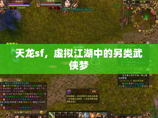 天龙sf，虚拟江湖中的另类武侠梦