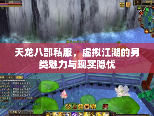 天龙八部私服，虚拟江湖的另类魅力与现实隐忧