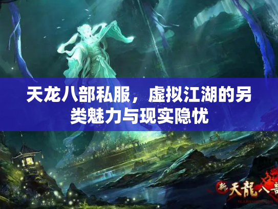 天龙八部私服，虚拟江湖的另类魅力与现实隐忧