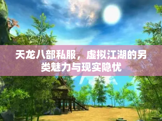 天龙八部私服，虚拟江湖的另类魅力与现实隐忧