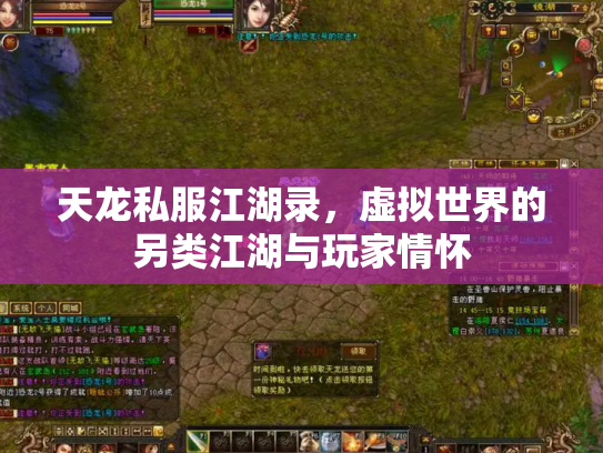天龙私服江湖录，虚拟世界的另类江湖与玩家情怀
