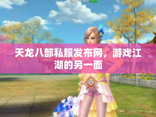 天龙八部私服发布网，游戏江湖的另一面