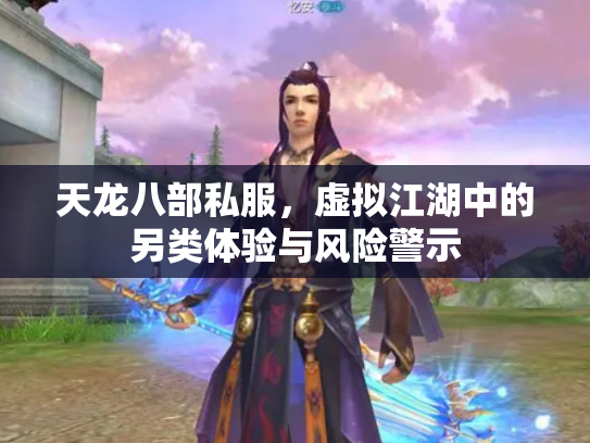 天龙八部私服，虚拟江湖中的另类体验与风险警示